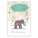 6pk Cards C75 Birthday Nanna - Tiger Feet Ireland