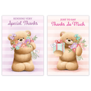 12pk Cards C50 Thank You - Tiger Feet Ireland