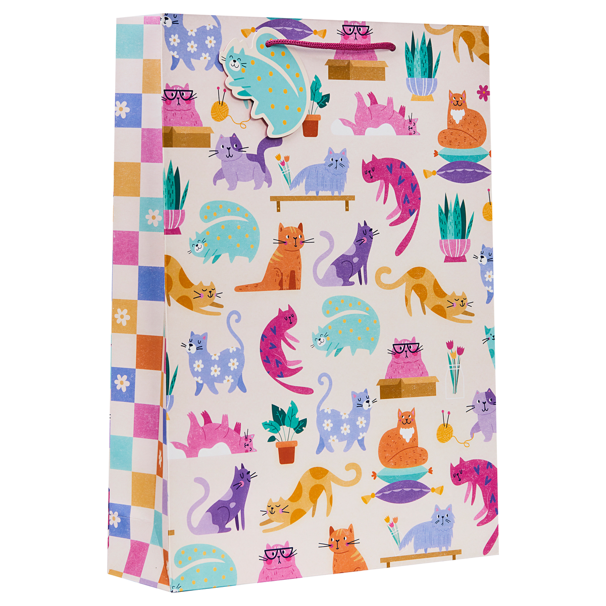 Partisan 6 Pack Gift Bag Cattitude Extra Large - Tiger Feet Ireland