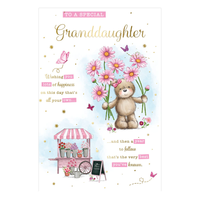 6pk Cards C75 Birthday Friend - Tiger Feet Ireland