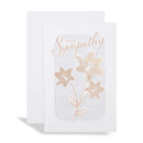 6pk Cards 75 Sympathy Open - Tiger Feet Ireland