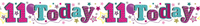 6pk Banners Birthday Age 11 - Tiger Feet Ireland