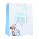6pk Extra Large Portrait Gift Bags Bear With Star - Tiger Feet Ireland