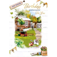 6pk Cards C50 Birthday Open - Tiger Feet Ireland