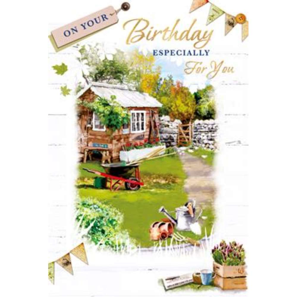6pk Cards C50 Birthday Open - Tiger Feet Ireland
