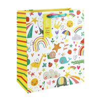 6pk Gift Bag Generic Baby Large - Tiger Feet Ireland