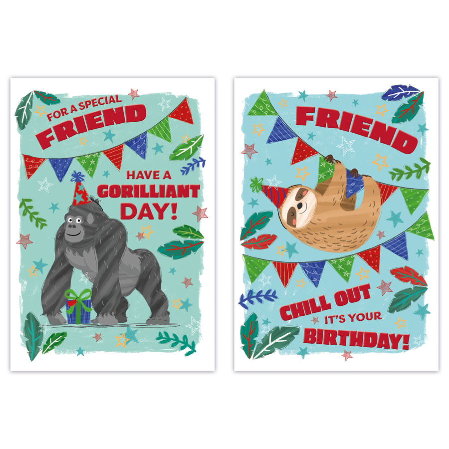 12pk Cards C50 Birthday Friend - Tiger Feet Ireland
