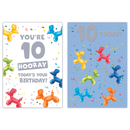 12pk Cards C50 Birthday Age 10 - Tiger Feet Ireland