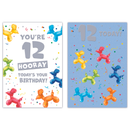 12pk Cards C50 Birthday Age 12 - Tiger Feet Ireland