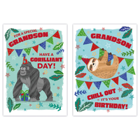 12pk Cards C50 Birthday Grandson - Tiger Feet Ireland
