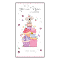 6pk Cards C55 Birthday Nan - Tiger Feet Ireland