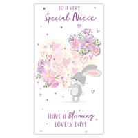 6pk Cards C55 Birthday Niece - Tiger Feet Ireland