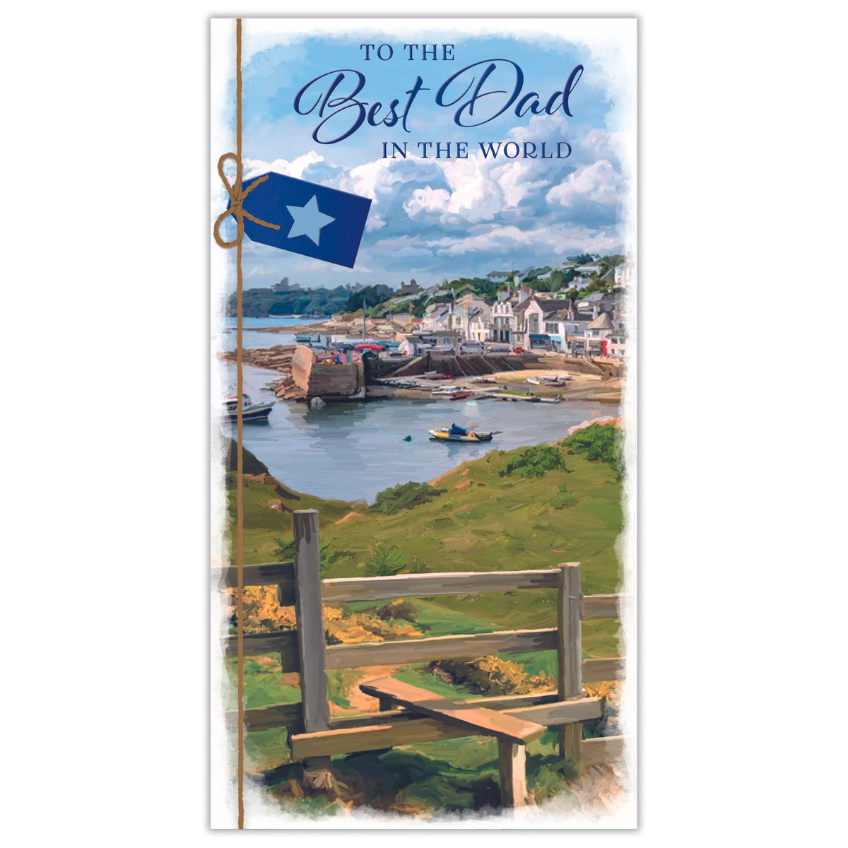 6pk Cards C55 Best Dad In The World - Tiger Feet Ireland