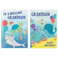 12pk Cards C50 Birthday Grandson - Tiger Feet Ireland