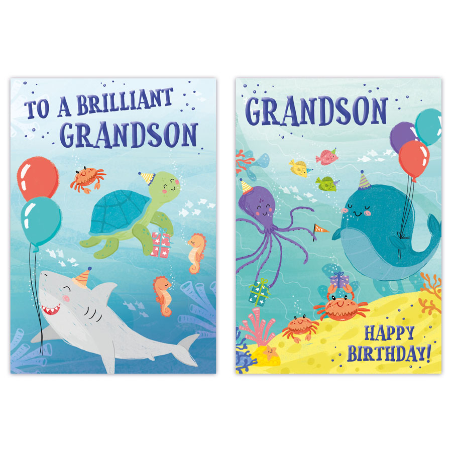12pk Cards C50 Birthday Grandson - Tiger Feet Ireland