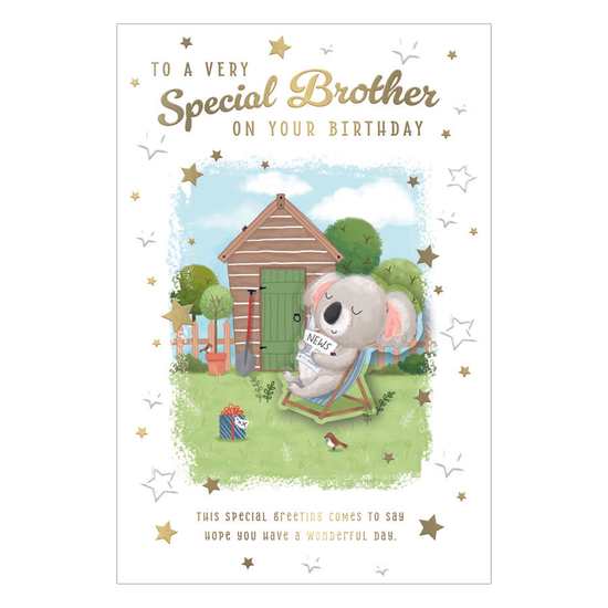 Prelude 6 Pack Cards C75 Birthday Brother