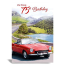 6pk Cards C50 Birthday Age 75 - Tiger Feet Ireland