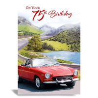 6pk Cards C50 Birthday Age 75 - Tiger Feet Ireland
