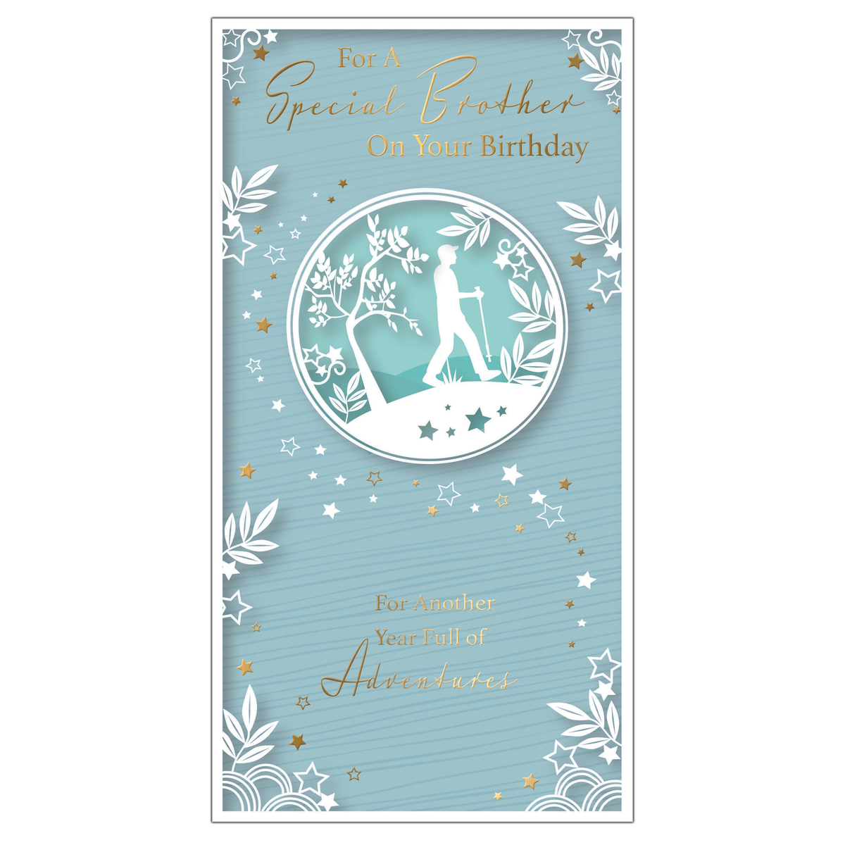 6pk Cards C55 Birthday Brother - Tiger Feet Ireland