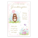 6pk Cards C375 Birthday Granddaughter - Tiger Feet Ireland