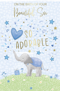 6pk Cards C75 Birth Congratulations - Tiger Feet Ireland