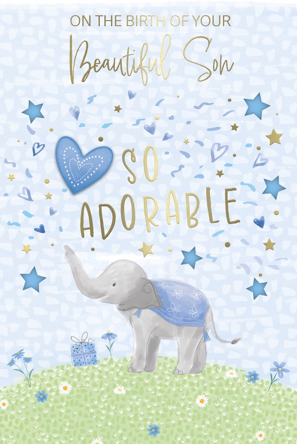 6pk Cards C75 Birth Congratulations - Tiger Feet Ireland
