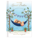 6pk Cards C90 Birthday Brother - Tiger Feet Ireland