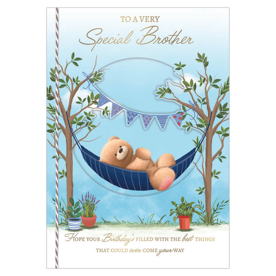 Prelude 6 Pack Cards C90 Birthday Brother