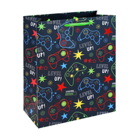 6pk Gift Bag Gamer Large - Tiger Feet Ireland