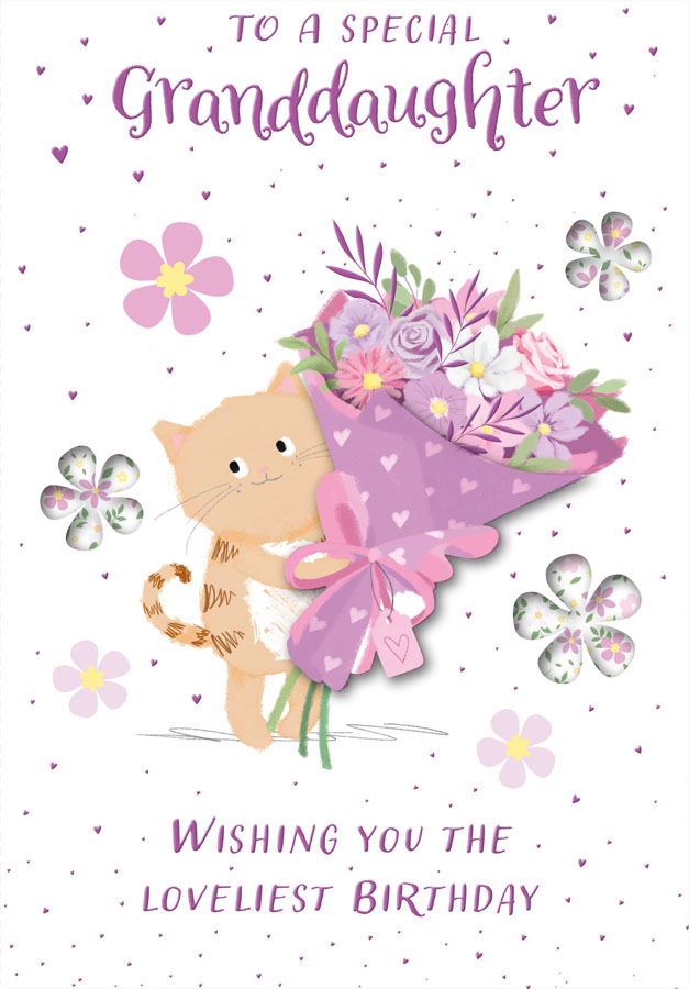 6pk Cards C50 Birthday Granddaughter - Tiger Feet Ireland