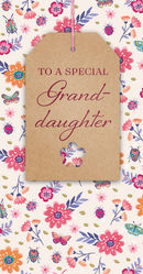 6pk Cards C55 Birthday Granddaughter - Tiger Feet Ireland