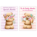 12pk Cards C50 Birthday Auntie - Tiger Feet Ireland