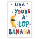 6pk Cards C75 Birthday Dad - Tiger Feet Ireland