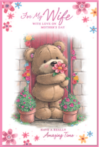 Simon Elvin 6 Pack Cards C75 Mother's Day Wife - Tiger Feet Ireland