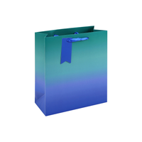 6pk Gift Bag Blue Ombre Medium - Tiger Feet Ireland