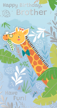 6pk Cards C55 Birthday Brother - Tiger Feet Ireland