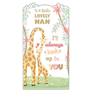 6pk Cards C55 Birthday Nan - Tiger Feet Ireland