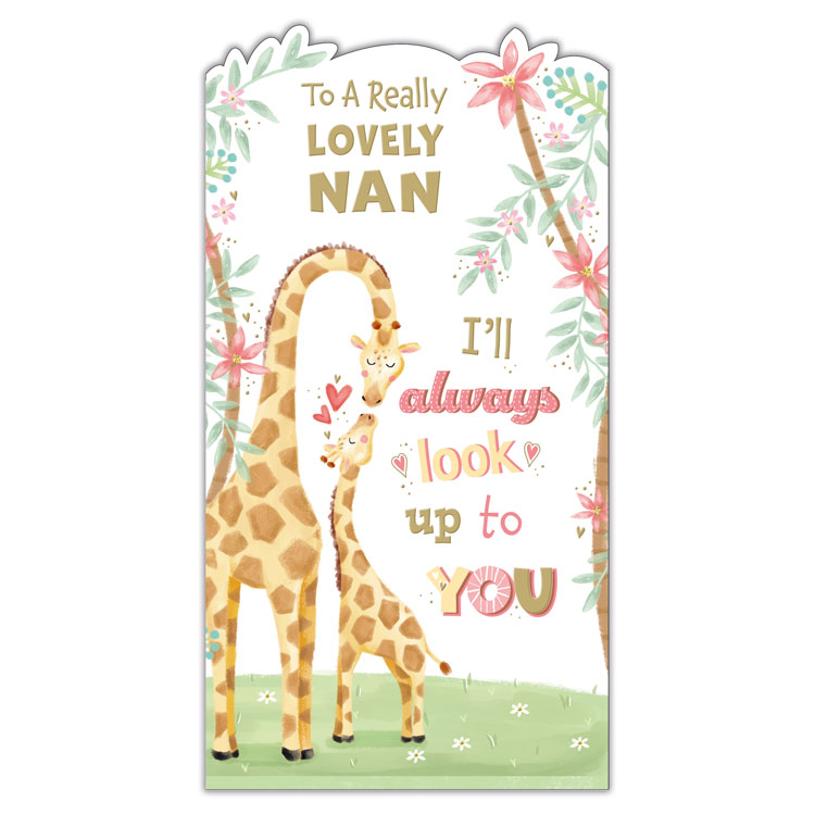 6pk Cards C55 Birthday Nan - Tiger Feet Ireland