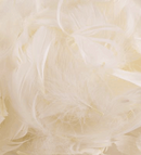 50g Eleganza Feathers Ivory - Tiger Feet Ireland