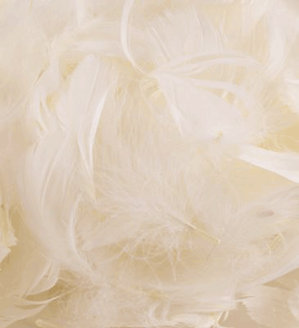 50g Eleganza Feathers Ivory - Tiger Feet Ireland