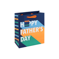 12pk Gift Bag Trend Fathers Day Medium - Tiger Feet Ireland