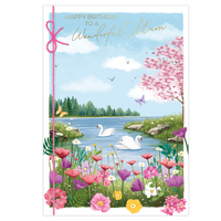 6pk Cards C50 Birthday Mam - Tiger Feet Ireland