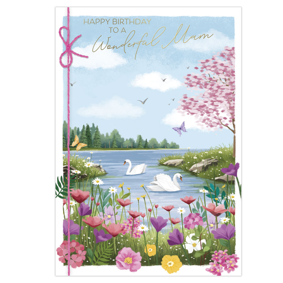 6pk Cards C50 Birthday Mam - Tiger Feet Ireland