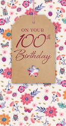 6pk Cards C55 Birthday Age 100 - Tiger Feet Ireland