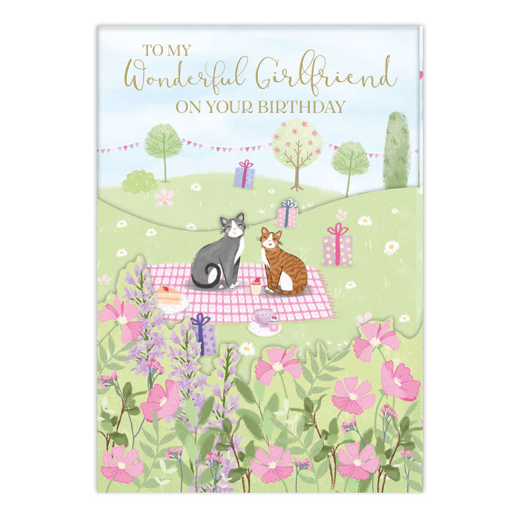 6pk Cards C90 Birthday Girlfriend - Tiger Feet Ireland