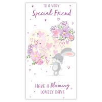 6pk Cards C55 Birthday Friend - Tiger Feet Ireland