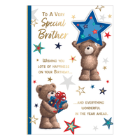 6pk Cards C75 Birthday Brother - Tiger Feet Ireland