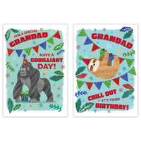 12pk Cards C50 Birthday Grandad - Tiger Feet Ireland