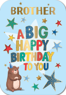 6pk Cards C90 Birthday Brother - Tiger Feet Ireland