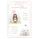 6pk Cards C375 Birthday Mam - Tiger Feet Ireland